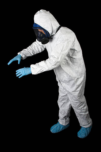 Best Mold Damage Restoration  in Miami Lakes, FL